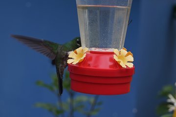 Private Tour – Natural Bird Reserve – Proaves (Hiking/Trekking)