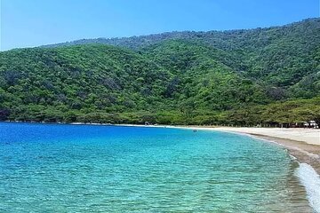 Salento, Cradle of wax palm, Carbonera Hike Tour