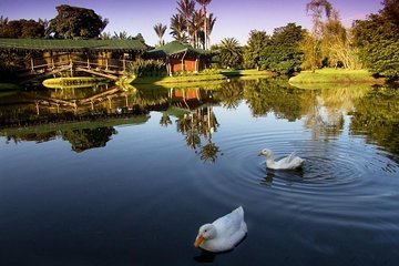 Botanical Garden Bogotá Private Tour (4 Hrs.)