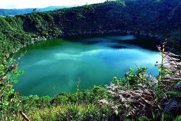 Panoramic City Tour 4h – Group tour and daily departure